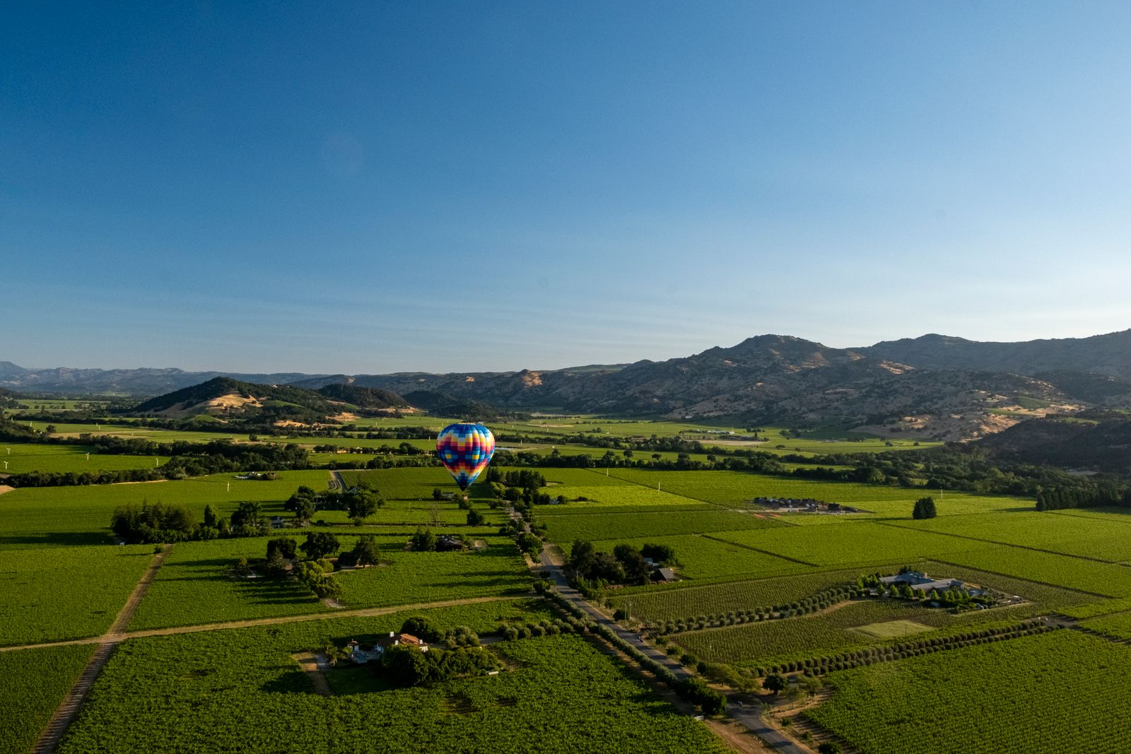 Colorful hot air balloon flying above Napa Valley vineyards under a clear blue sky.